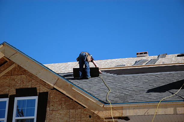Best Metal Roofing Installation  in Port Byron, IL