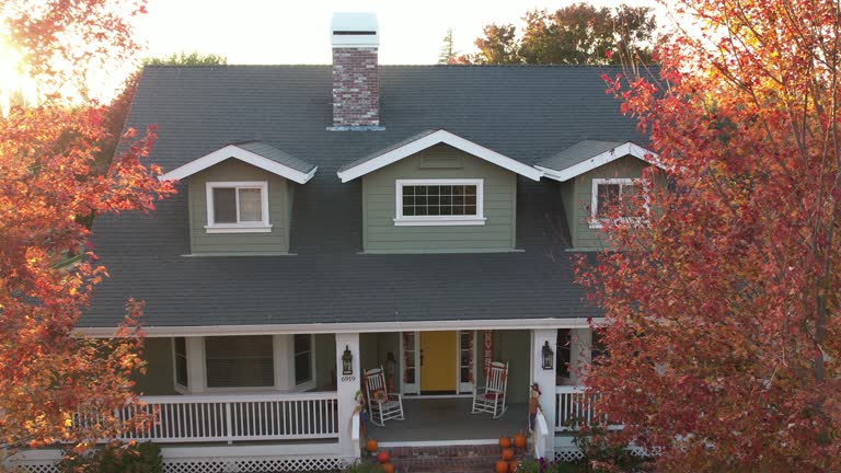 Best Gutter Installation and Repair  in Port Byron, IL