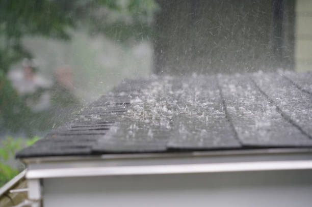 Best Rubber Roofing (EPDM, TPO)  in Port Byron, IL