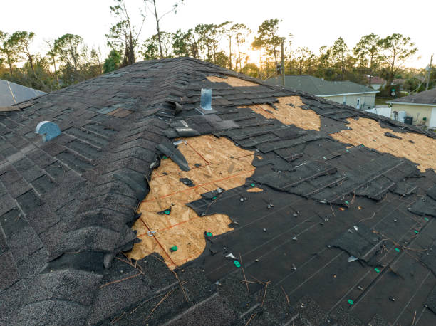Reliable Port Byron, IL Roofing Service Solutions