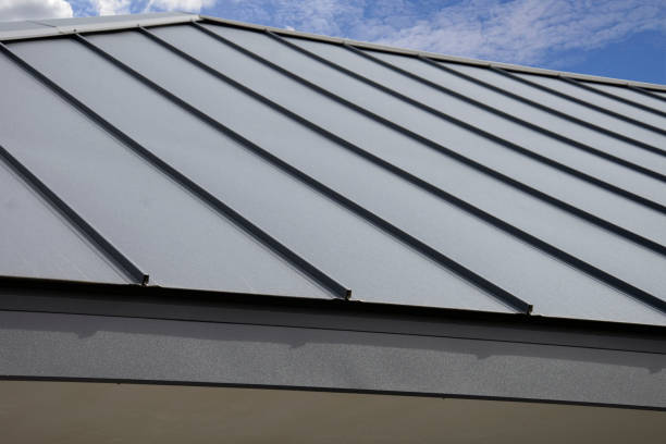 Best Green or Eco-Friendly Roofing Solutions  in Port Byron, IL
