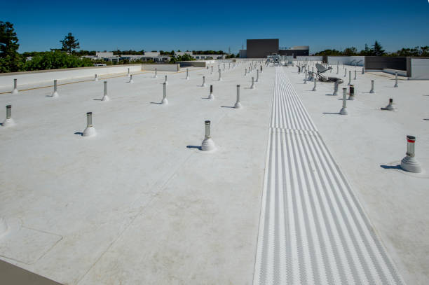 Best Skylight Installation and Repair  in Port Byron, IL
